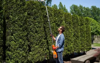 vehículos industriales para jardinería